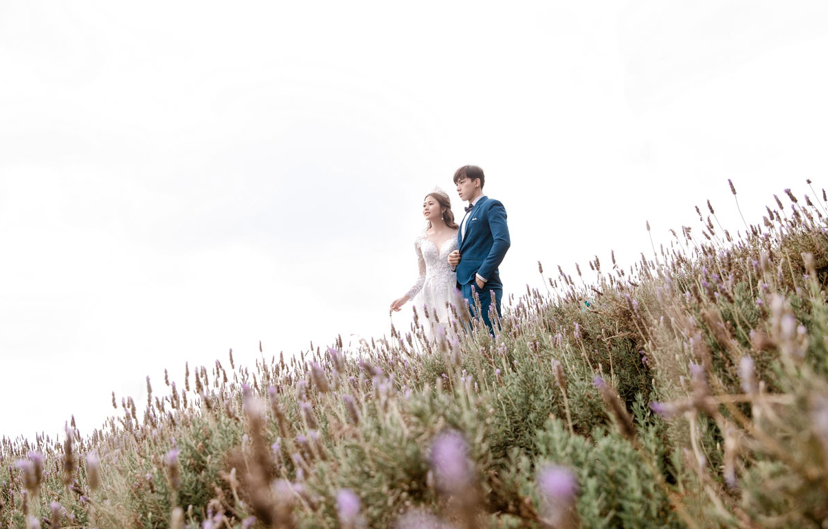 Chụp hình cưới lãng mạn ở Đồng hoa lavender